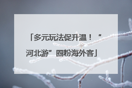 多元玩法促升温！“河北游”圈粉海外客